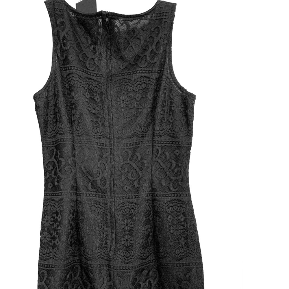 Sleeves black and brown lace dress.